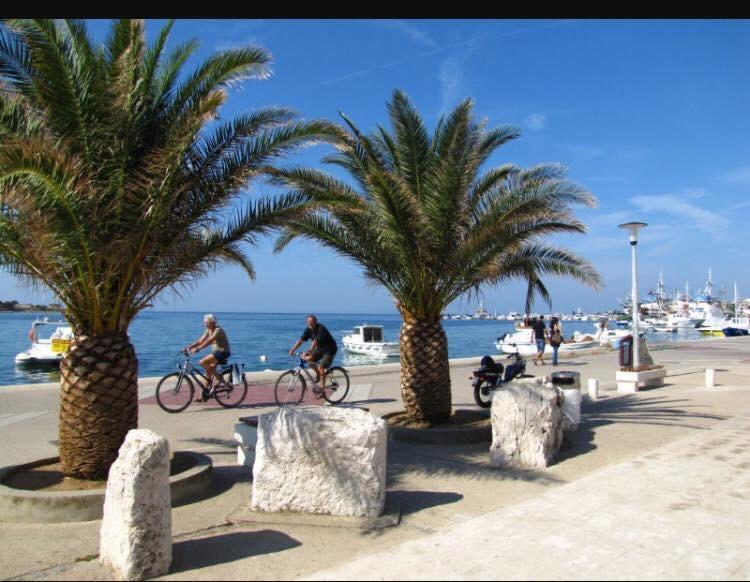 Novalja Beach Apartment Buitenkant foto